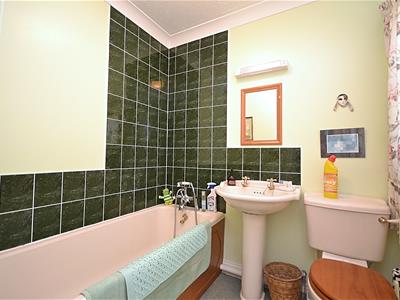 Picture 11